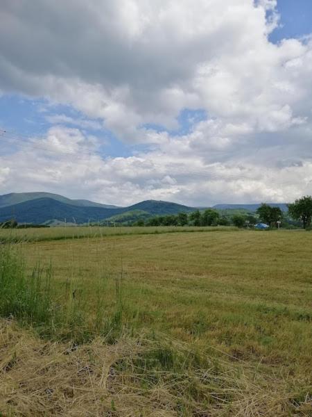 Chata U Losinky Velké Losiny Kültér fotó
